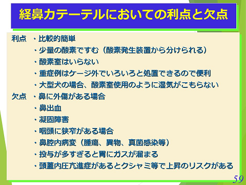 三鷹獣医科グループ・経鼻カテーテルにおいての利点の欠点01