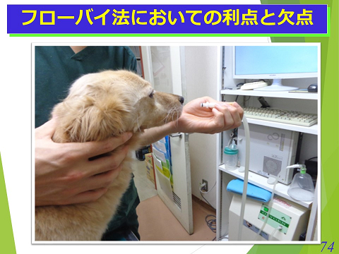 三鷹獣医科グループ・フローバイにおいての利点と欠点03