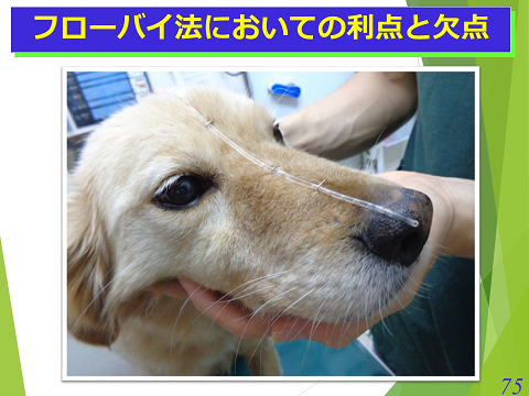 三鷹獣医科グループ・フローバイにおいての利点と欠点04