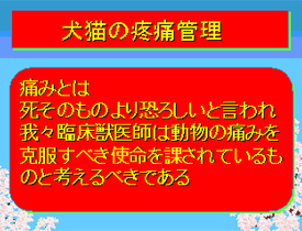 犬猫の疼痛管理