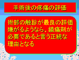 手術後の疼痛の評価01
