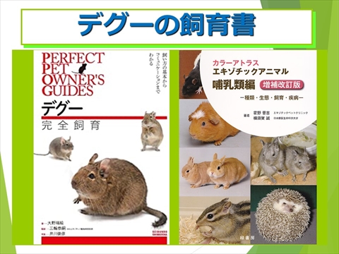 デグーの飼育書02