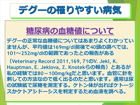 デグーの罹りやすい病気13