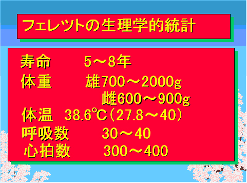 フェレットの生理学的統計