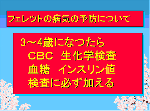 フェレットの病気の予防について02