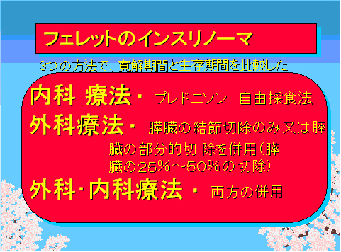 インスリノーマ03