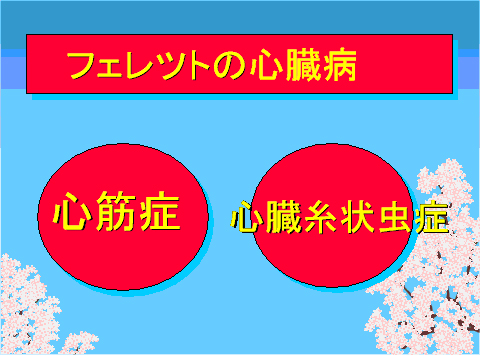 フェレットの心臓病