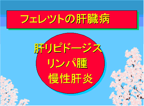 フェレットの肝臓病