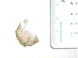 詰まっていた布の塊