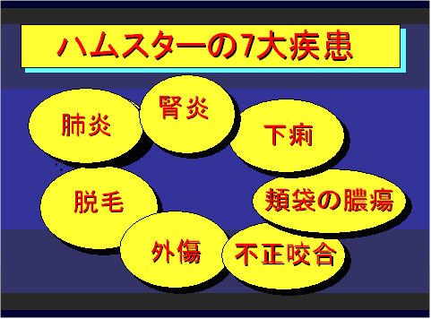 ハムスターの7大疾病