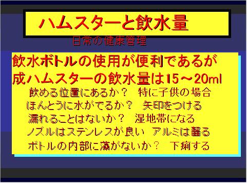 ハムスターの飲水量