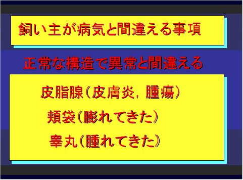 飼い主が病気と間違える事項