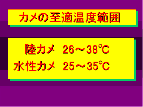カメの至適温度範囲