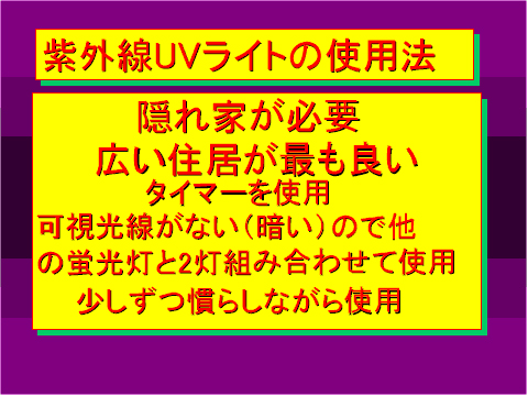 紫外線UVライトの使用法