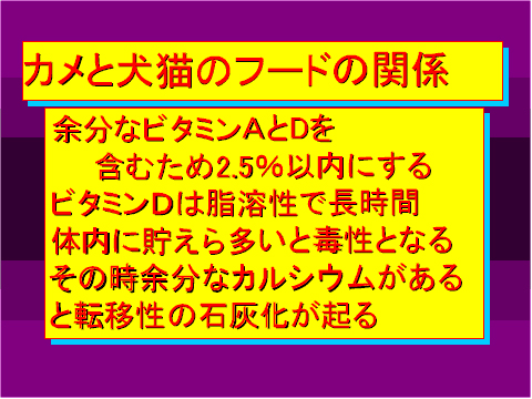 カメと犬猫のフードの関係