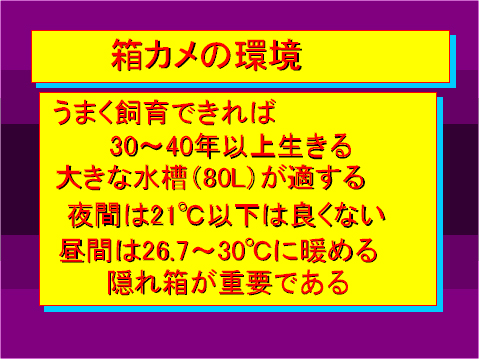 箱カメの環境