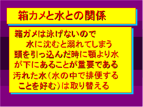 箱カメと水との関係