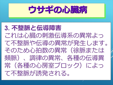 ウサギの心臓病17