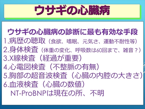 ウサギの心臓病19