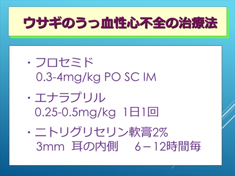 ウサギの心臓病の治療法01