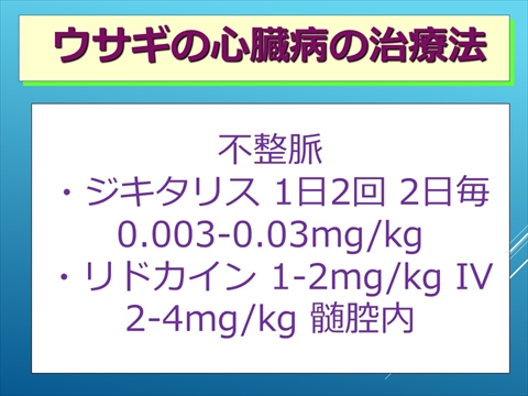 ウサギの心臓病の治療法02