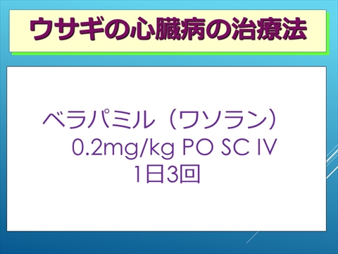 ウサギの心臓病の治療法05