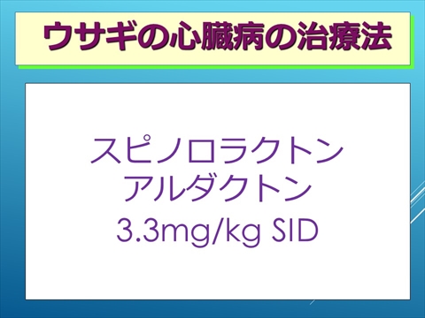ウサギの心臓病の治療法12