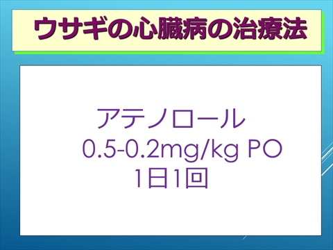 ウサギの心臓病の治療法13