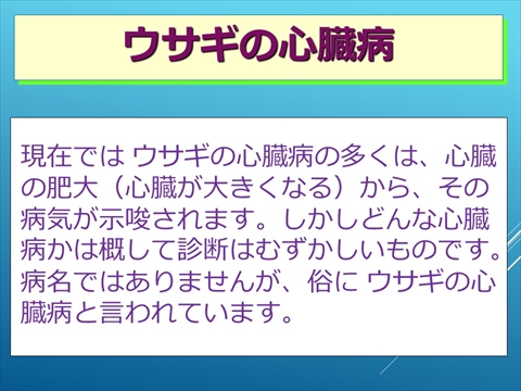 ウサギの心臓病05