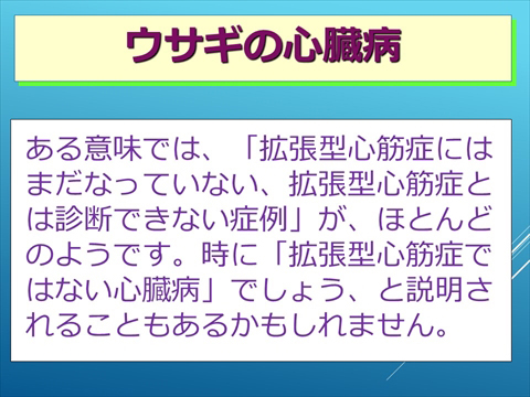 ウサギの心臓病06