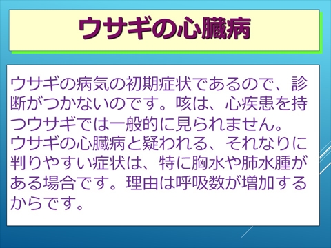 ウサギの心臓病08