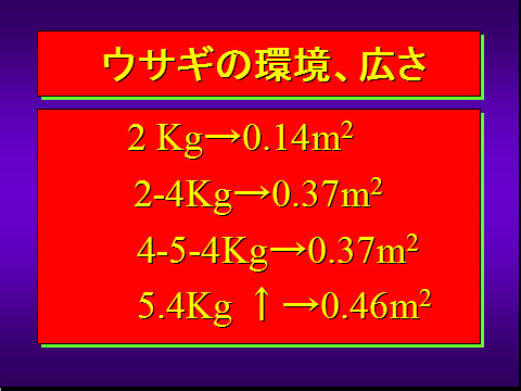 ウサギの環境、広さ