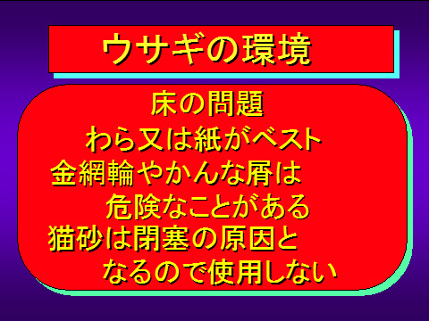ウサギの環境03
