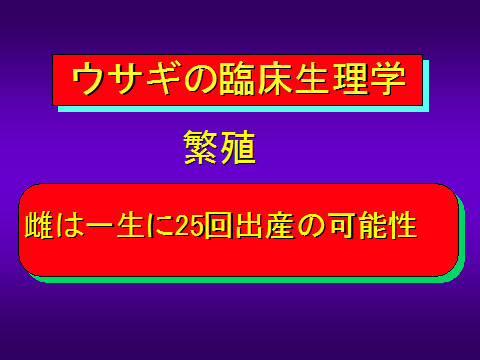 ウサギの臨床生理学03