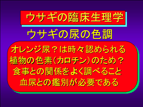 ウサギの臨床生理学04