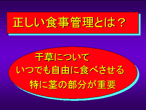 正しい食事管理とは?02