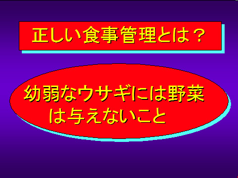 正しい食事管理とは?06