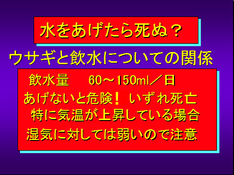 水をあげたら死ぬ?
