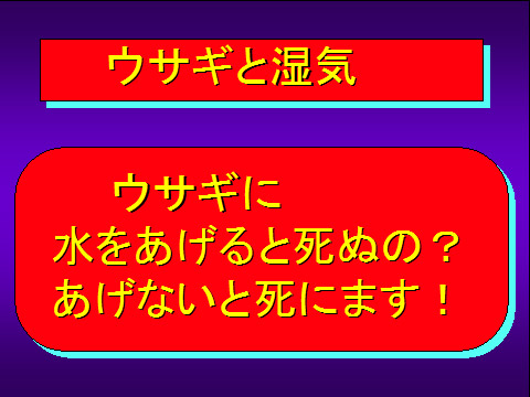 ウサギと湿気