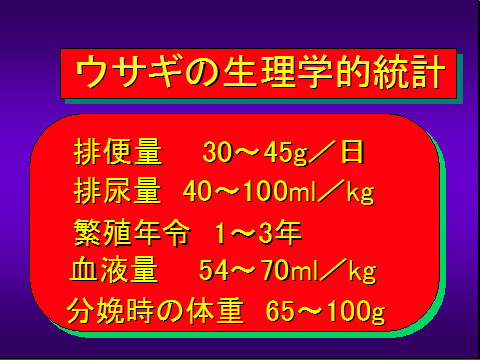 ウサギの生理学的統計03