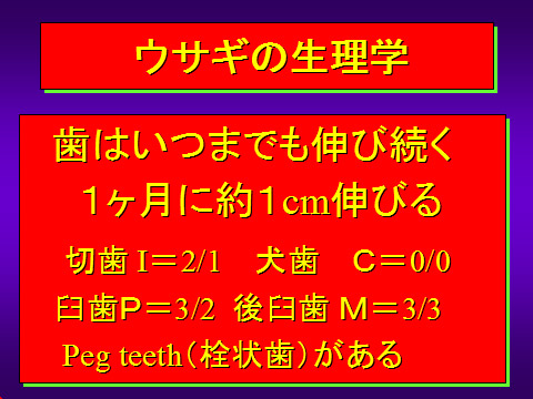 ウサギの生理学