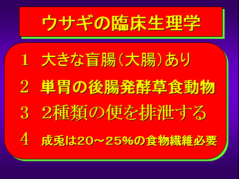 ウサギの臨床生理学01
