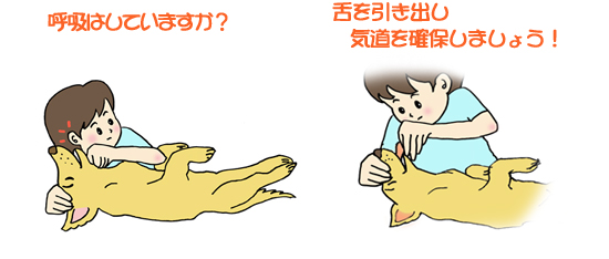 呼吸はしていますか?