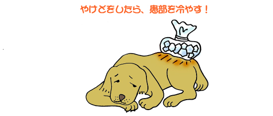 やけどをしたら患部を冷やす