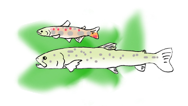 飼い主の指示で行動できるように躾ましょう