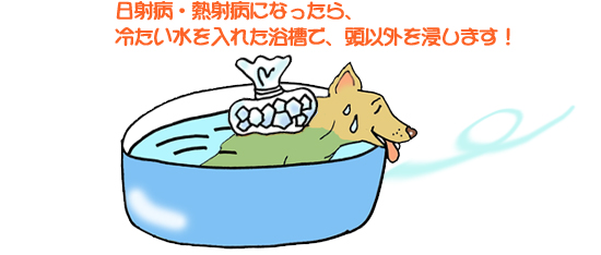日射病・熱射病になったら冷たい水を入れた浴槽で頭以外を浸します