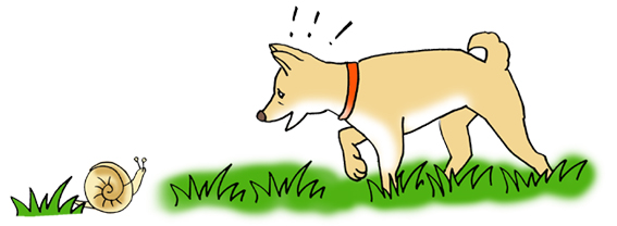 中毒の起こる状況