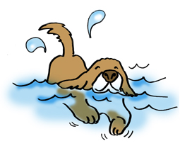 飼い主の指示で行動できるように躾ましょう