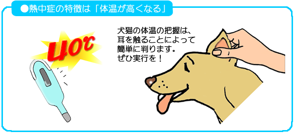 熱中症の特徴は「対応が高くなる」