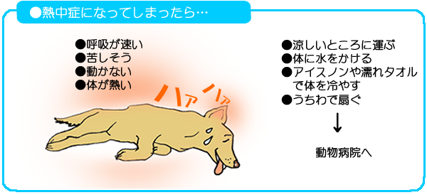 熱中症になってしまったら・・・